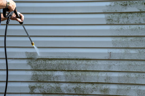 Shed Removal in Emerald Mountain, AL